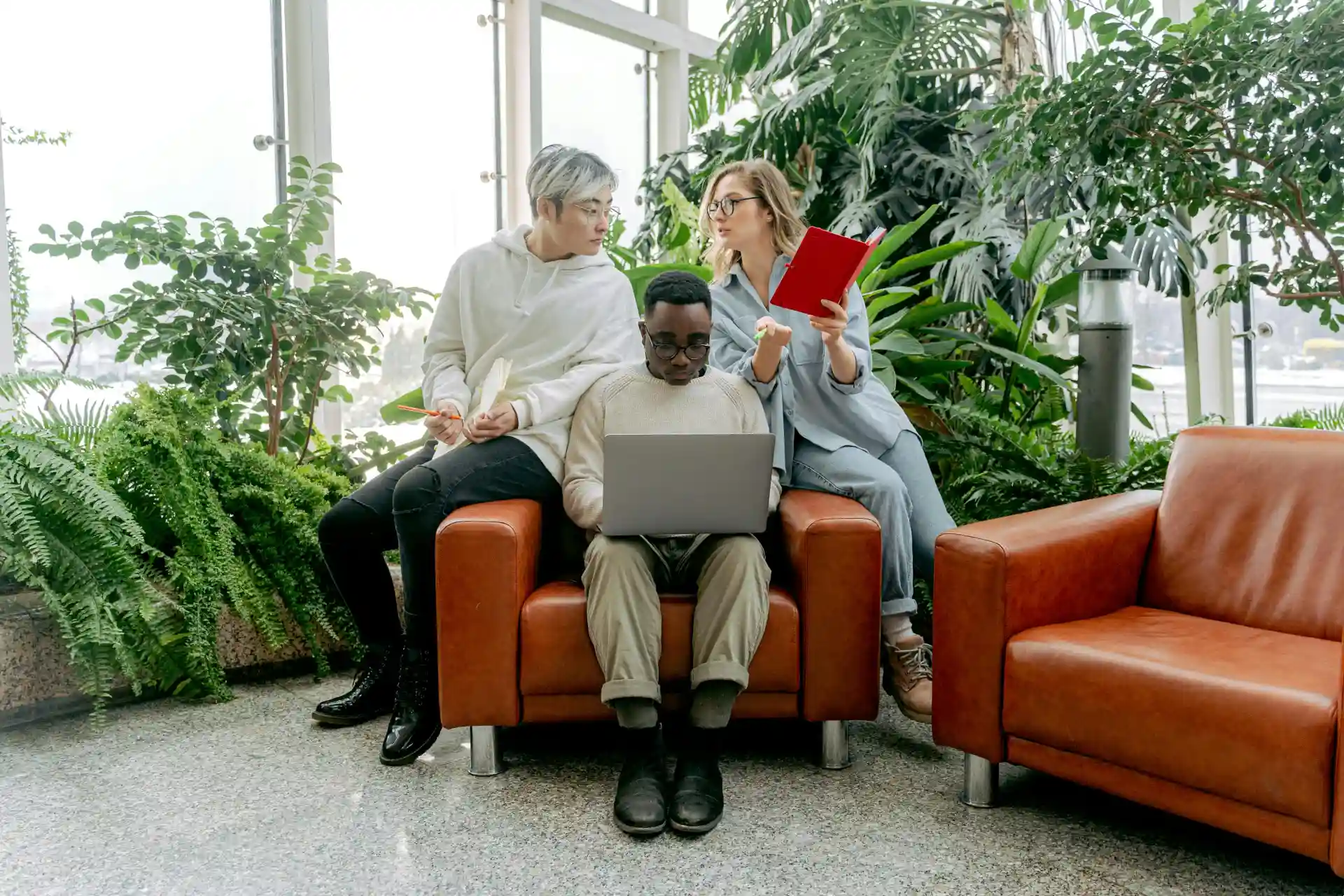 A diverse group of students studying together on a sofa with a laptop, surrounded by indoor plants.
