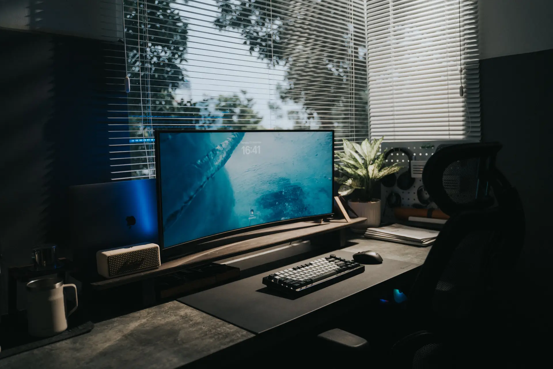 Stylish home office setup with a curved monitor and indoor plant, illuminated by natural light.
