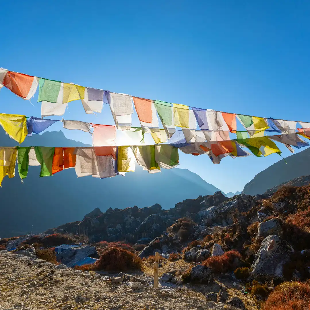 Langtang, High & Cold